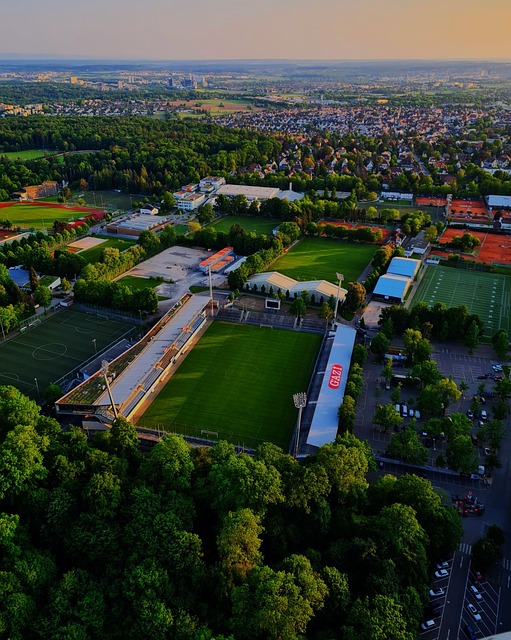 认真研究 认真研究